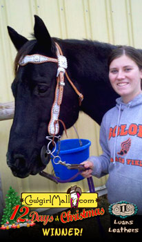 12 Days of Christmas Winner - Luans Leathers Headstall