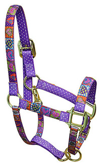 red haute horse halter