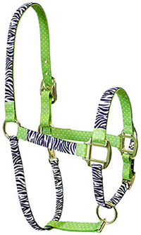 red haute horse halter